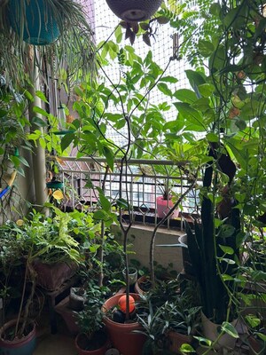 Balcony in 2 BHK Apartment at Paranjape Madhukosh Phase III, Dhayari – for Sale