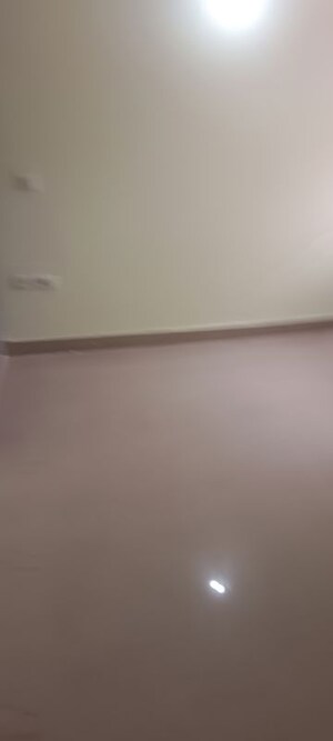3 BHK Builder Floor For Rent in Sector 10
