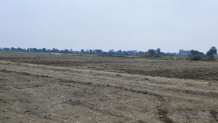 undefined, hodal  100 Sq.Yd. Plot In Hodal Palwal 10506532