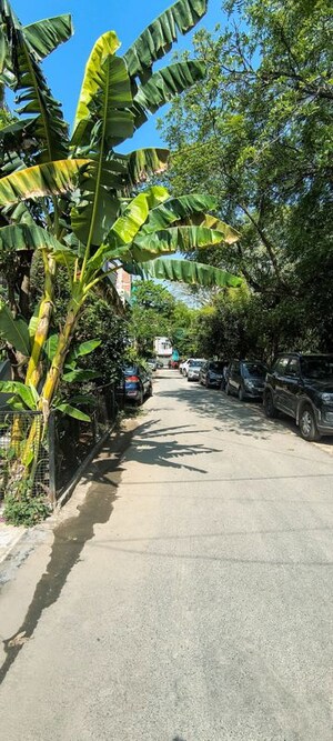 Parking in 6+ BHK Villa at RWA Apartments Sector 41, Sector 41 – for Sale