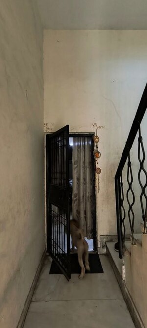 Staircase in 6+ BHK Villa at RWA Apartments Sector 41, Sector 41 – for Sale