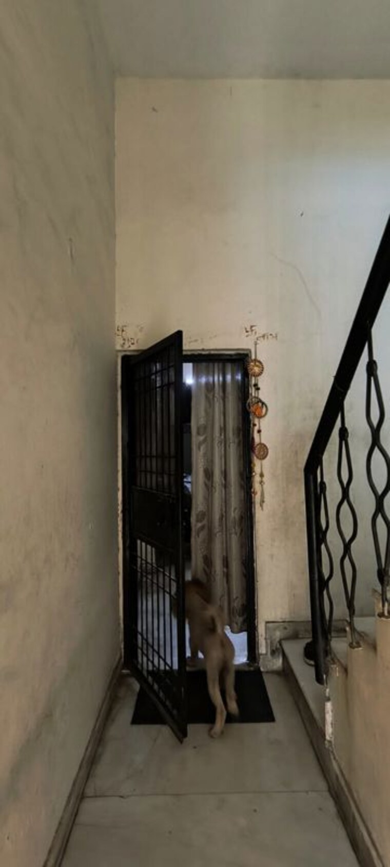 undefined, rwa-apartments-sector-41 6+ Bedroom 180 Sq.Ft. Villa In Sector 41 Noida 10506644