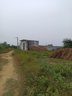 Plot Area in  Plot at Baraula – for Sale