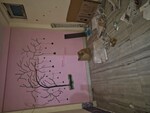 2.5 BHK 490 Sq.Ft. Builder Floor in Mayur Vihar