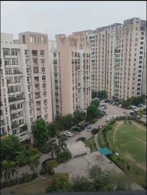 3 BHK Apartment For Rent in Rohtas Plumeria, Gomti Nagar