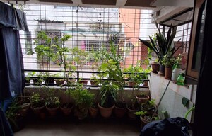 Balcony in 2 BHK Apartment at Tirupati Campus, Tingre Nagar – for Rent