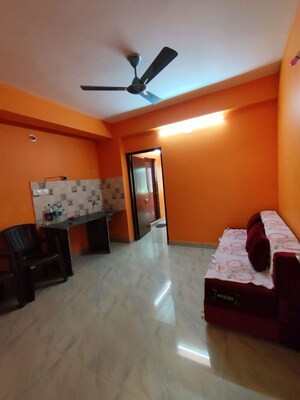 Living Room in 1 BHK Apartment at Malancha – for Sale