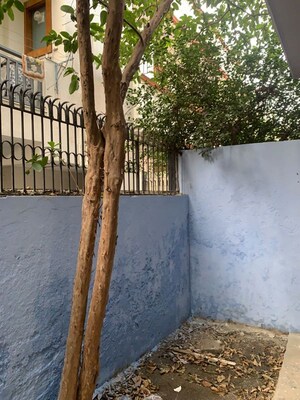 Swimming Pool in 2 BHK Builder Floor at Sector 23 – for Rent