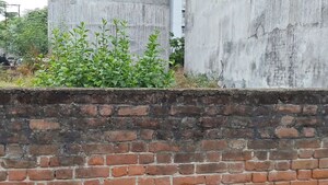  Plot For Sale in Vrindavan Yojna