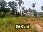 24388 Sq.Ft. Plot in Maradu