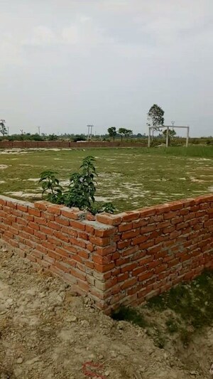  Plot For Sale in Sector 145