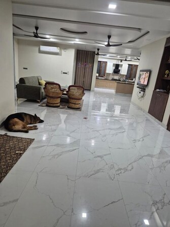 3 BHK 300 Sq.Yd. Builder Floor in BPTP Parkland Pride Phase 2
