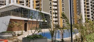 2 BHK Apartment For Rent in Shapoorji Pallonji Joyville Hinjewadi, Hinjewadi