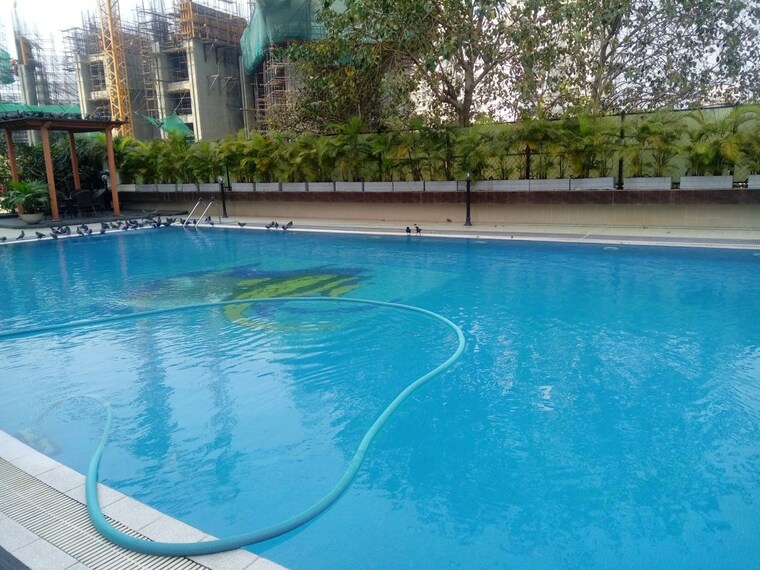 Swimming Pool, prabhadevi-chs 3 Bedroom 1890 Sq.Ft. Apartment In Prabhadevi Mumbai 10508605