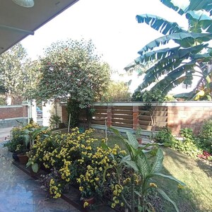 4 BHK Builder Floor – Exterior View View at Sector 21 - for Rent