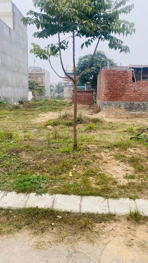 Plot Area in  Plot at Altus Muirwood Ecocity, North Kharar – for Sale