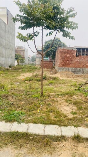 Plot Area in  Plot at Altus Muirwood Ecocity, North Kharar – for Sale