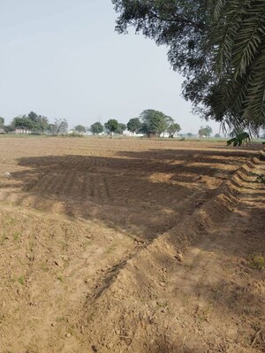 Plot Area in  Plot at Pataudi – for Sale