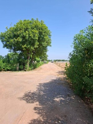  Plot – Garden View at Pataudi - for Sale