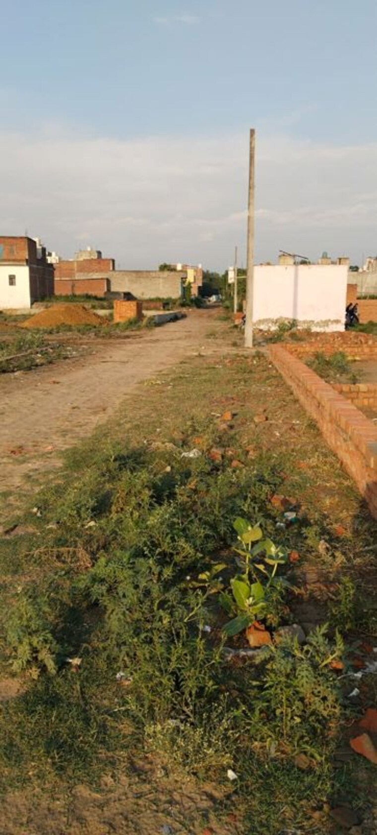 undefined, sector 88  100 Sq.Yd. Plot In Sector 88 Noida 10509194
