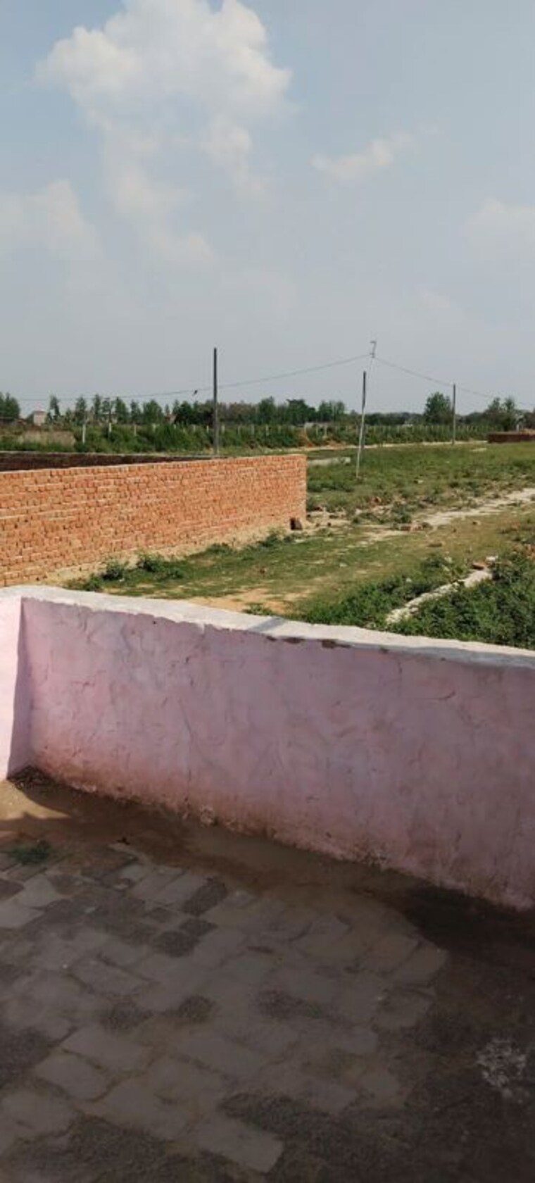 undefined, sector 88  100 Sq.Yd. Plot In Sector 88 Noida 10509194