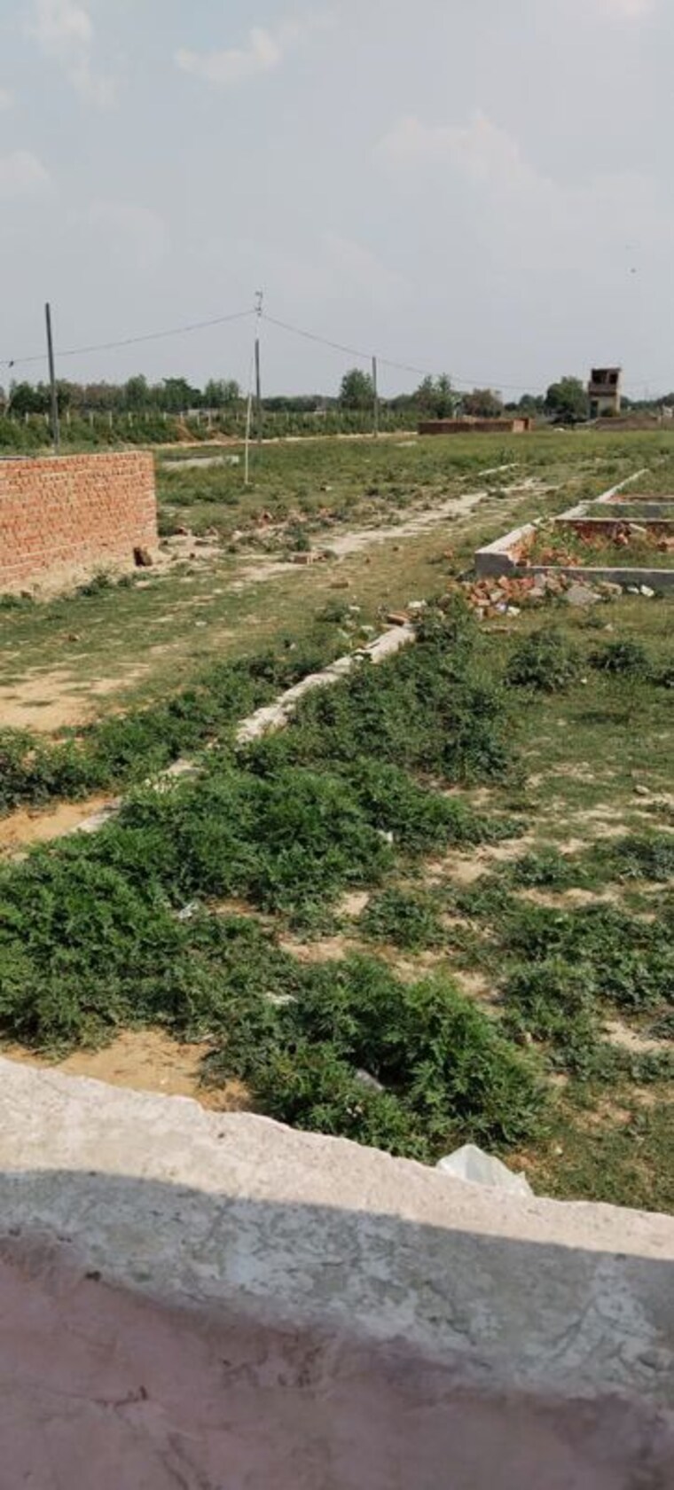 undefined, sector 88  100 Sq.Yd. Plot In Sector 88 Noida 10509194