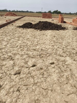 Plot Area in  Plot at Rohania – for Sale
