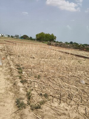 Plot Area in  Plot at Rohania – for Sale