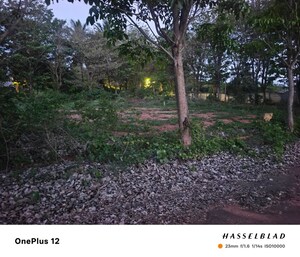  Plot For Sale in Chandapura
