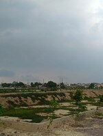 50 Sq.Yd. Plot in Dadri