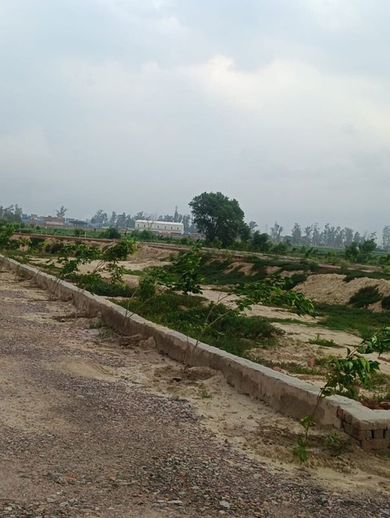 undefined, dadri  50 Sq.Yd. Plot In Dadri Greater Noida 10509618