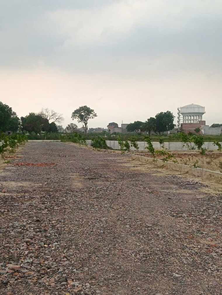 undefined, dadri  50 Sq.Yd. Plot In Dadri Greater Noida 10509618