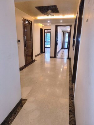 3 BHK Builder Floor For Rent in Chittaranjan Park