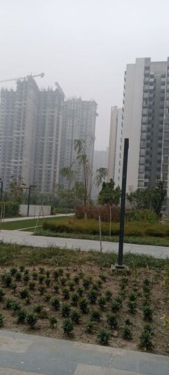 2 BHK + Study Room Apartment For Sale in Godrej Nest