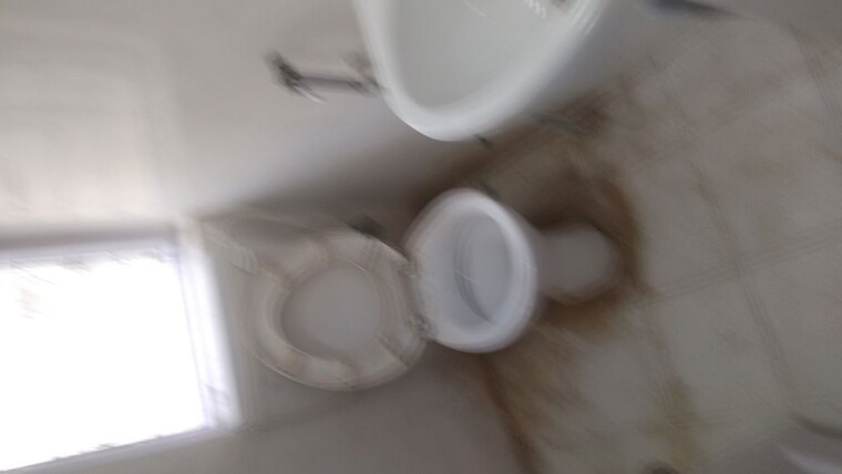 Bathroom, arun-vihar-sector-37 1 RK 200 Sq.Ft. Apartment In Sector 37 Noida 10510112