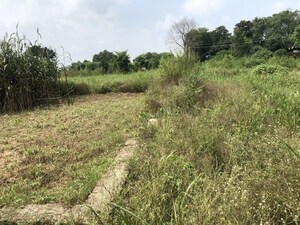  Land For Sale in Khanwal