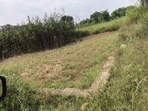Plot Area in  Land at Khanwal – for Sale