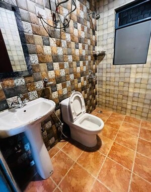 Team Area in 3 BHK Builder Floor at Sector 23 – for Rent