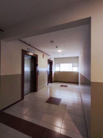 1.5 BHK Apartment For Rent in Brigade El Dorado Aurum in Bagaluru, Bangalore