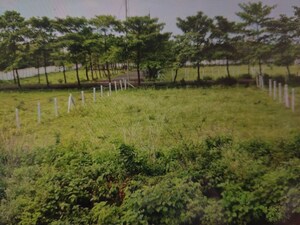  Plot – Exterior View View at Vishnupuri - for Sale