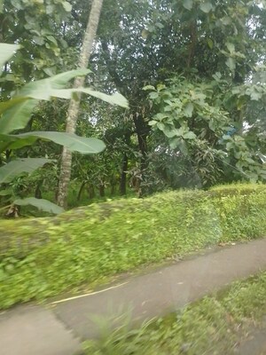  Land For Sale in East Fort