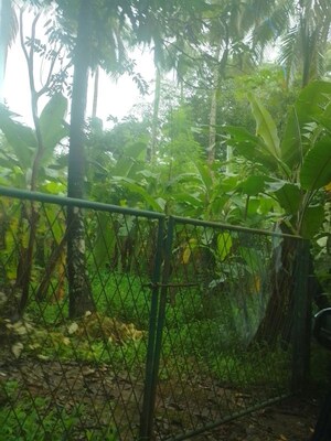Plot Area in  Land at East Fort – for Sale
