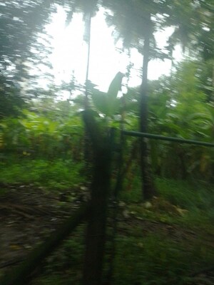Plot Area in  Land at East Fort – for Sale