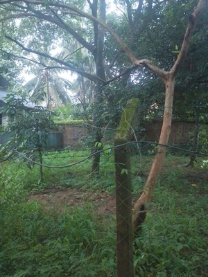 Plot Area in  Land at East Fort – for Sale