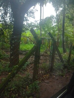  Land – Exterior View View at East Fort - for Sale