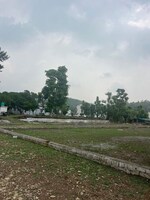 150 Sq.Yd. Plot in Sherpur
