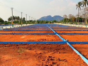 Plot Area in  Plot at Kaiwara – for Sale