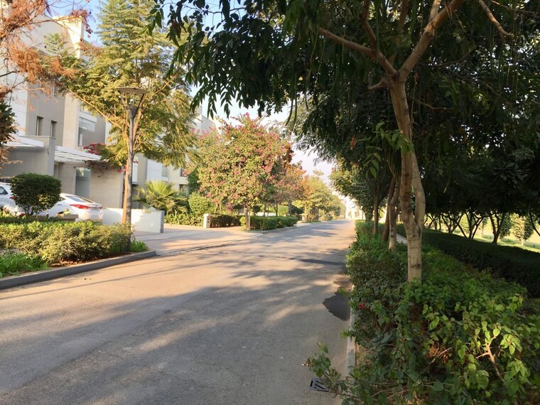 Garden, unitech-infospace 4 Bedroom 2100 Sq.Ft. Builder Floor In Sector 21 Gurgaon 10511817