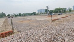 Plot For Sale in Sector 81