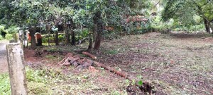  Plot For Sale in Ottapalam